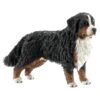 Schleich FARM WORLD Berner Sennenhond Vrouwtje 16397 -Speelgoed Winkel 1193979