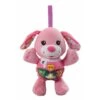 VTech Baby Knuffel En Speel Puppy - Roze -Speelgoed Winkel 1750440